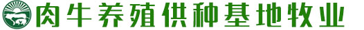 云顶娱乐APP